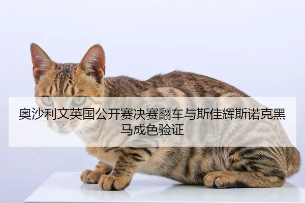 奥沙利文英国公开赛决赛翻车与斯佳辉斯诺克黑马成色验证