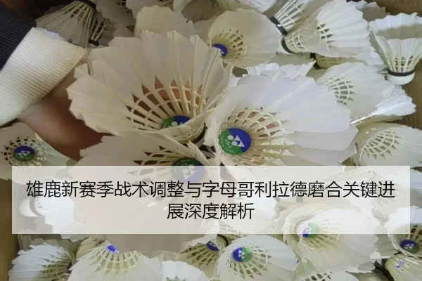 雄鹿新赛季战术调整与字母哥利拉德磨合关键进展深度解析